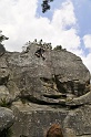 2008-06-29_14-43-55_001_fontainebleau_elephant