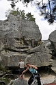 2008-06-29_14-45-30_001_fontainebleau_elephant