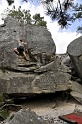 2008-06-29_14-47-01_001_fontainebleau_elephant