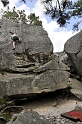 2008-06-29_14-47-17_001_fontainebleau_elephant