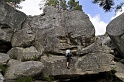 2008-06-29_14-50-16_001_fontainebleau_elephant