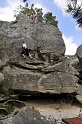 2008-06-29_14-50-55_001_fontainebleau_elephant