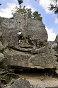 2008-06-29_14-50-57_001_fontainebleau_elephant