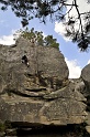 2008-06-29_14-51-22_001_fontainebleau_elephant