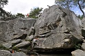 2008-06-29_14-54-58_001_fontainebleau_elephant