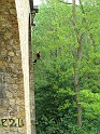 2009-05-10_13-15-21_fauvettes