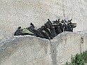 2009-05-31_14-31-38_st-maximin