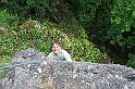 2009-06-13_11-51-56_001_clecy