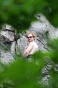 2009-06-13_13-50-47_001_clecy
