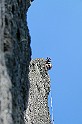 2009-06-13_16-52-03_001_clecy