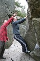2009-03-22_12-23-14_Bleau_Diplodocus