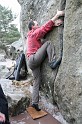 2009-03-22_12-39-31_Bleau_Diplodocus