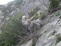 10-04-27_18-34-52_001_stage_orpierre