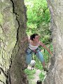 10-06-27_16-41-48_001_vertus