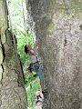 10-06-27_16-50-06_001_vertus