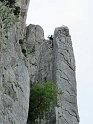 2011-04-19_13-16-20_001_Dentelles_2011