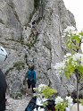 2011-04-19_13-17-50_001_Dentelles_2011