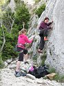 2011-04-19_14-25-46_001_Dentelles_2011
