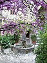 2011-04-20_17-19-18_001_Dentelles_2011