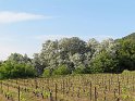 2011-04-20_18-35-40_001_Dentelles_2011