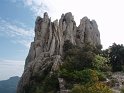 2011-04-21_09-27-57_001_Dentelles_2011