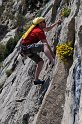 2011-04-21_13-59-57_001_Dentelles_2011