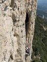2011-04-21_14-02-07_001_Dentelles_2011