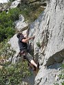 2011-04-22_13-50-03_001_Dentelles_2011