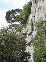 2011-04-22_13-50-39_001_Dentelles_2011