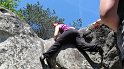 2011-05-01_12-25-17_Bleau_Diplodocus