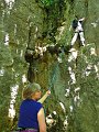 2011-05-29_12-09-24_001_WE_Saffres