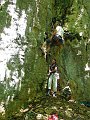 2011-05-29_12-16-22_001_WE_Saffres
