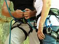 2011-05-29_12-17-46_001_WE_Saffres