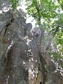 2011-05-29_13-17-35_001_WE_Saffres