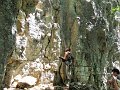 2011-05-29_13-31-21_001_WE_Saffres