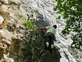 2011-05-29_13-59-31_001_WE_Saffres