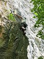 2011-05-29_13-59-41_001_WE_Saffres