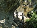 2011-06-26_11-22-56_WE-Surgy
