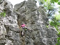 2012-06-16_14-48-06_001_WE_Saffres