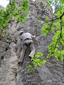 2012-06-16_15-56-05_001_WE_Saffres