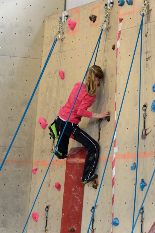 2015-04-12_15-00-08_Challenge-REVE.jpg - Challenge de REVE a SERRIS