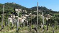 2015-04-28_17-47-07_stage_Dentelles-Montmirail