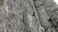 2015-04-29_16-33-41_stage_Dentelles-Montmirail