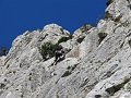 2015-04-30_11-25-58_stage_Dentelles-Montmirail