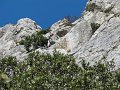 2015-04-30_11-35-36_stage_Dentelles-Montmirail