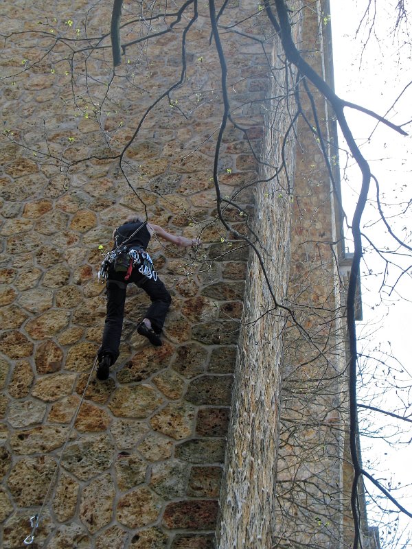 2015-04-12_12-24-05_Viadiuc_fauvettes.jpg - Sortie au viaduc des Fauvettes