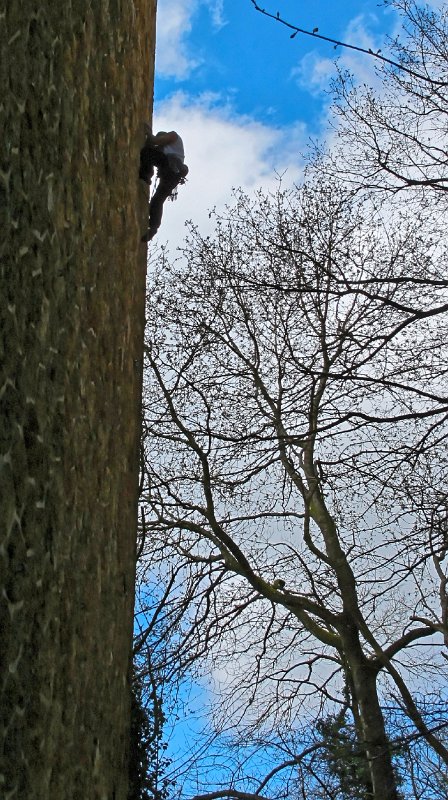 2015-04-12_13-00-41_Viaduc_fauvettes.jpg - Sortie au viaduc des Fauvettes