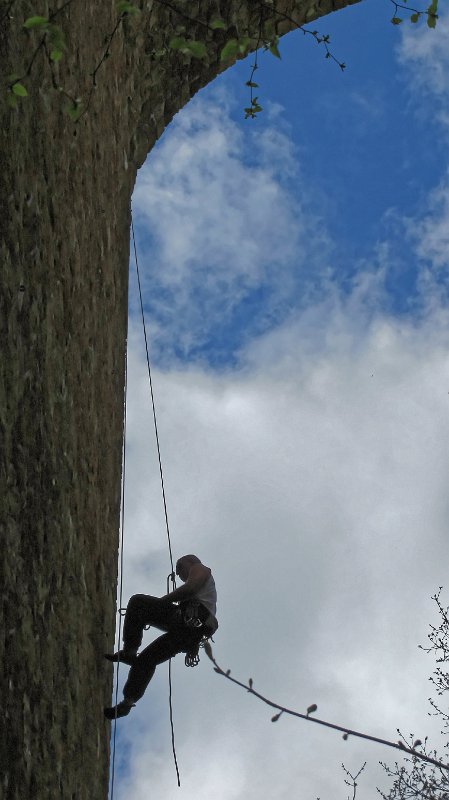 2015-04-12_13-06-36_Viaduc_fauvettes.jpg - Sortie au viaduc des Fauvettes