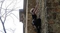 2015-04-12_16-08-37_Viaduc_fauvettes