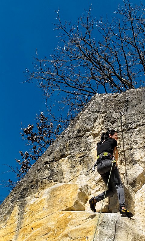 2015-03-08_14-18-45_Saint_Maximin.jpg - Sortie a St Maximin